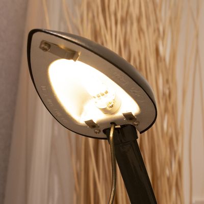 Närbild av en modern svart LED-lampskärm med en glödlampa, framhävd mot en bakgrund av dekorativa pinnar för att skapa elegant belysning.