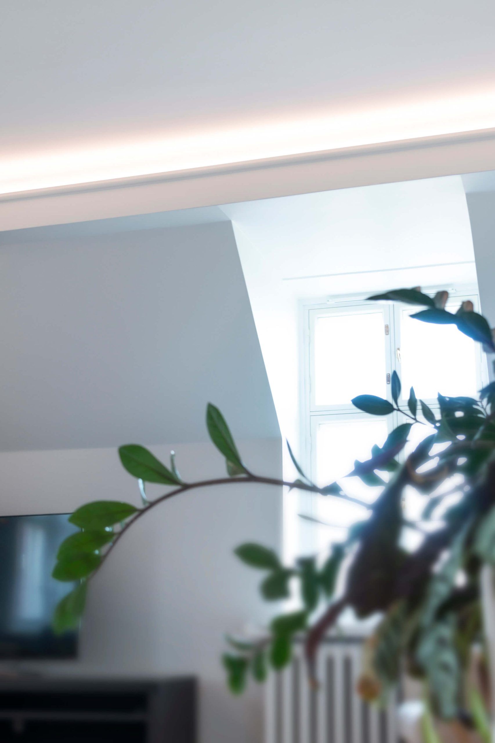En grön bakgrund med en vit fyrkant som visar "LED STORE" i stora bokstäver, vilket framhäver LED-belysningens fokus på detaljhandeln.