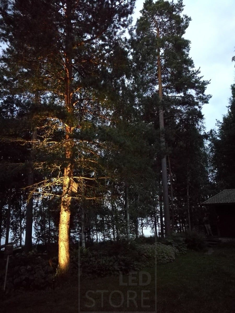 Led-markljusspets som belyser och framhäver ett träd. Belysningen är stämningsfull och indirekt. Ledstore.fi