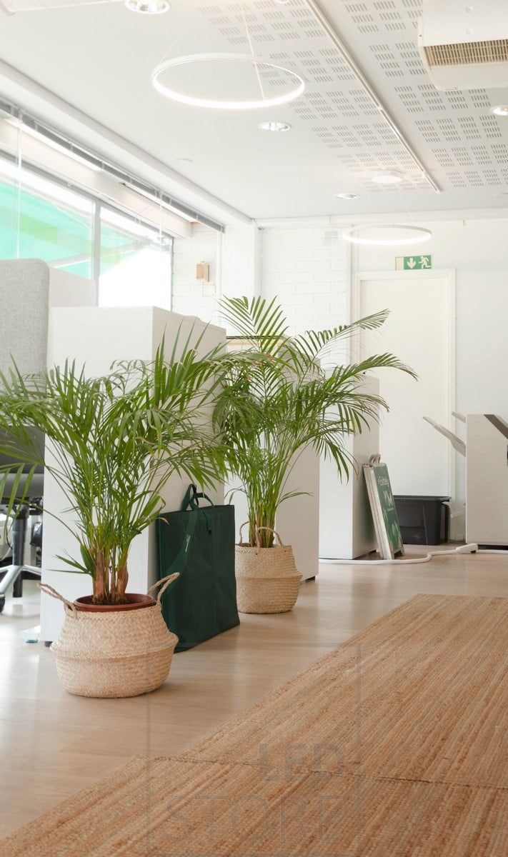 Kontoret är upplyst av eleganta och minimalistiska pendelarmaturer från RINKELI. Belysningen är behaglig, jämn, justerbar och bländar inte skärmhuvudet när man arbetar. Ledstore.fi