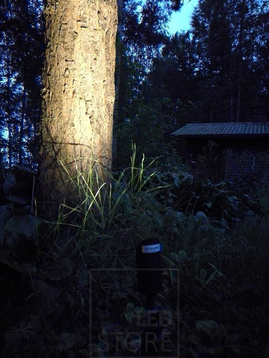 Vacker accentbelysning utomhus med en maquis-lampa, riktad mot ett träd. Ledstore.fi