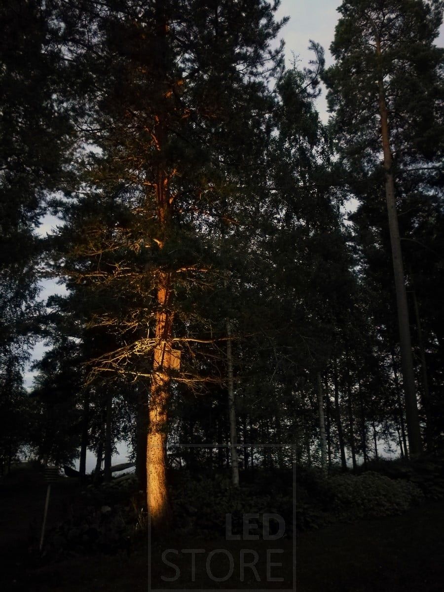 Trädbelysning på en innergård med en riktbar landskapsarmatur. Ledstore.fi