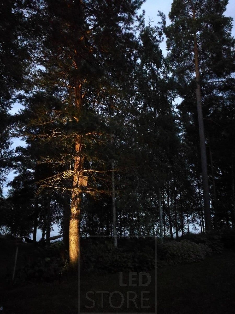 Exteriört träd upplyst av en riktbar marklykta. Ledstore.fi
