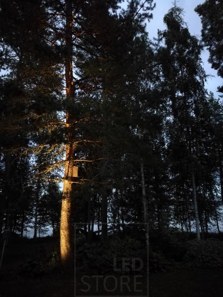 Ett träd på en innergård som belyses av en markmonterad marklampa. Ledstore.fi