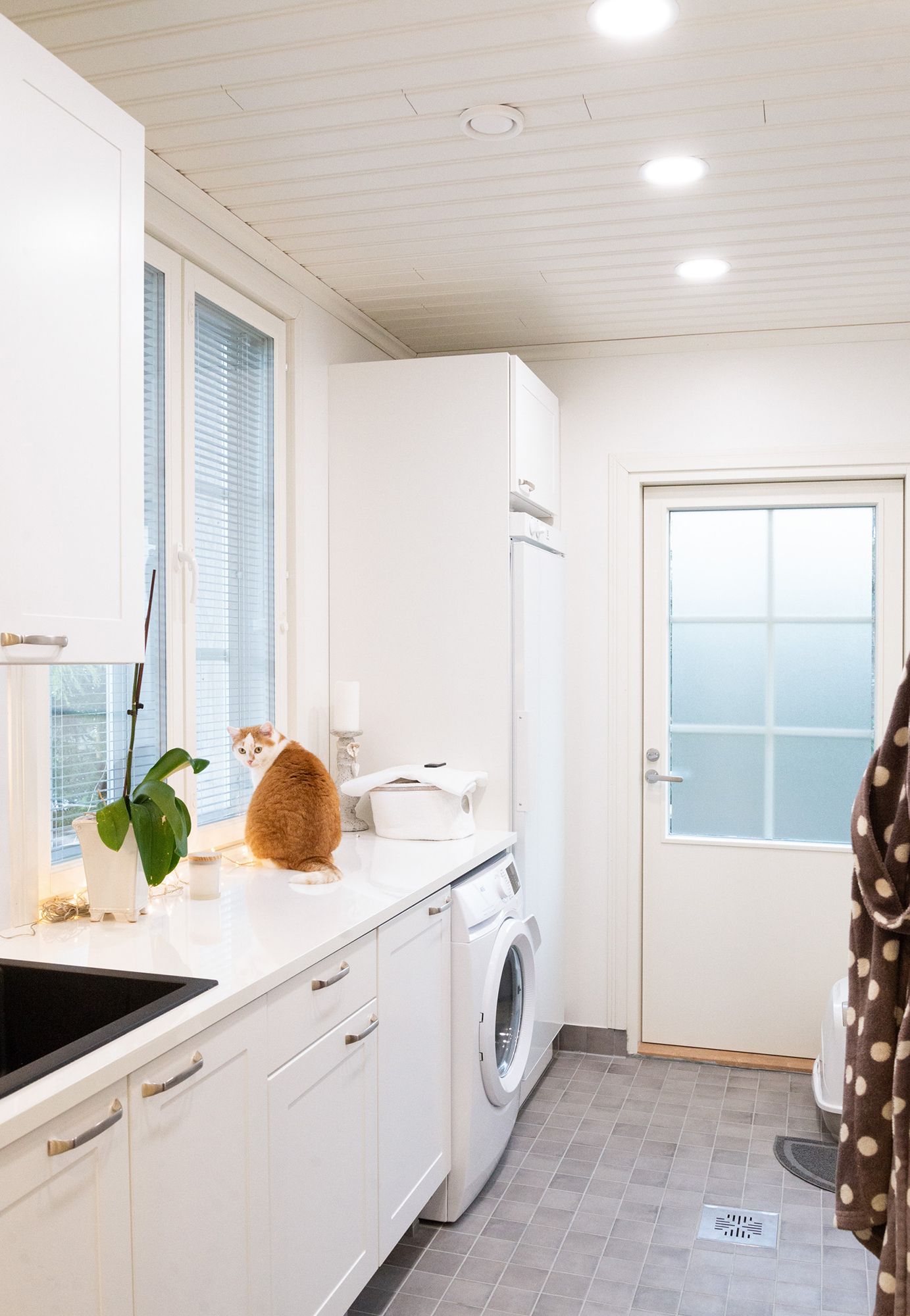 Plafond-armaturer ger effektiv och jämn belysning i tvättstugan. Ledstore.fi