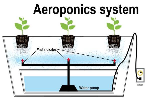 Aeroponisk odling