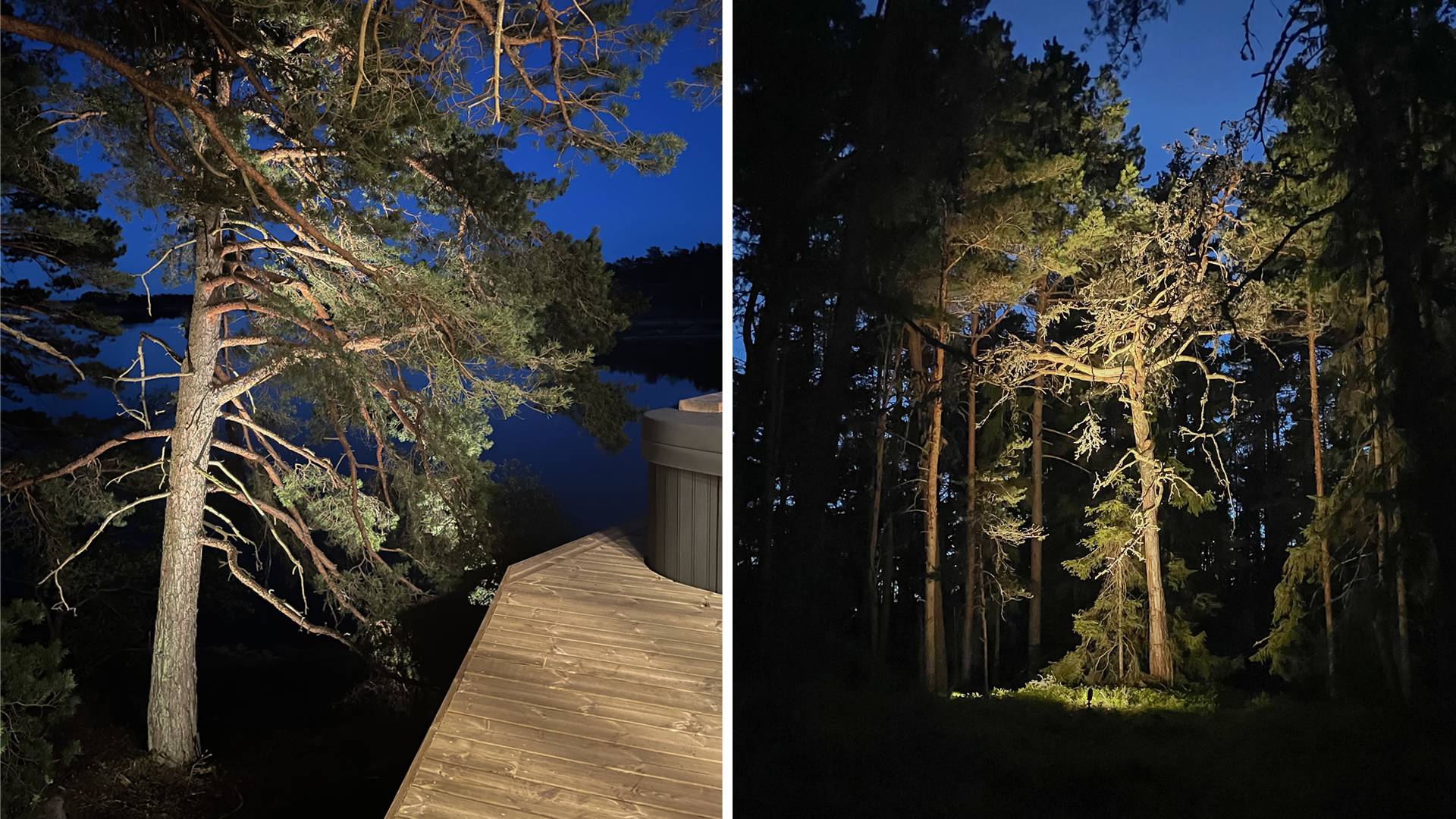 Stora tallar belyses nerifrån och upp för att skapa ett reflekterande ljus.