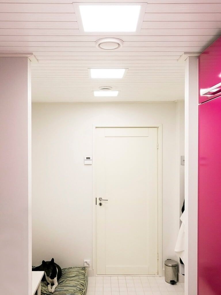 LED Store-logotyp med vit fyrkant och text på grön bakgrund, som främjar energieffektiva belysningslösningar.