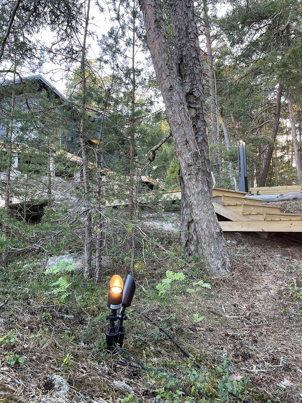 Jordlampa med spik som lyser upp tallar.