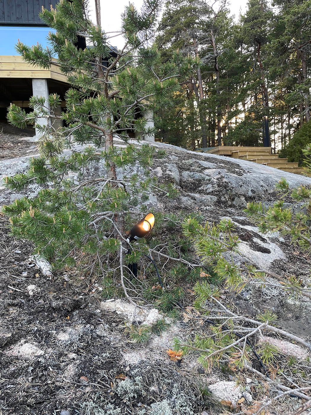Jordlampa för spik.